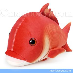 鯛　ぬいぐるみ　6個セット タイ ぬいぐるみ 鯛 海と魚 海水魚 テイクオフ : HONDA STORE