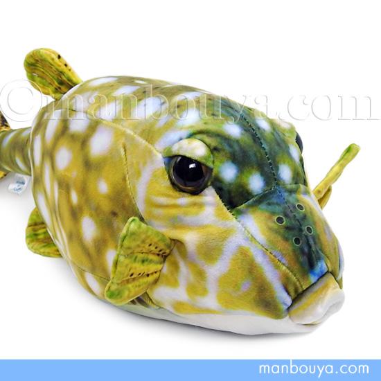 魚 ハコフグ ぬいぐるみ ふぐ リアル さかなクン おさかなぬいぐるみ ハコフグ メス 45cm T...