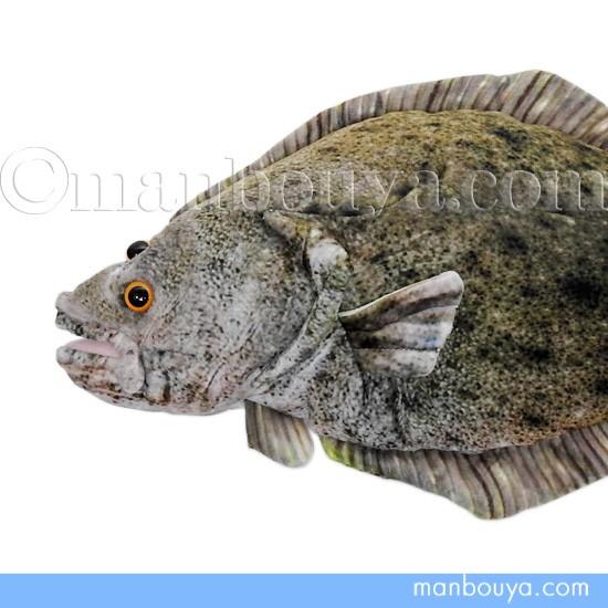 魚 ヒラメ ぬいぐるみ TST太洋産業貿易 さかなクン おさかなぬいぐるみ 鮃 47cm