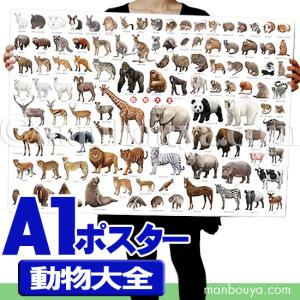 動物図鑑 子供 アートポスター インテリア 特大 A1サイズ お風呂 動物大全 ポスター｜manbouya