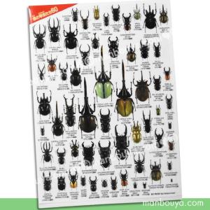 A4 クリアファイル 昆虫 グッズ おもしろ文房具 図鑑シリーズ ザ