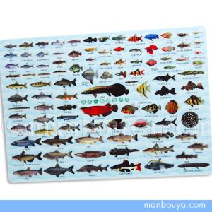 A4サイズ 下敷き 魚 図鑑 アロワナ ピラルク 文房具 ザ・アクセス 淡水魚 熱帯魚大全 したじき メール便発送可｜manbouya