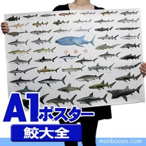 サメグッズ アートポスター インテリア 特大 A1サイズ