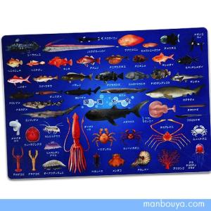 A4サイズのしたじき 深海魚 グッズ 図鑑タイプ ザ・アクセス