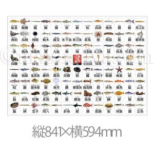 お魚漢字 海洋生物 アートポスター インテリア...の詳細画像1