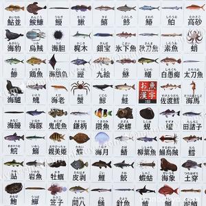 お魚漢字 海洋生物 アートポスター インテリア...の詳細画像2