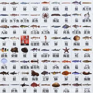 お魚漢字 海洋生物 アートポスター インテリア...の詳細画像3