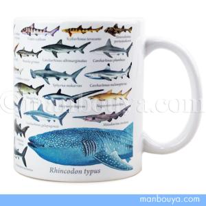 サメ グッズ マグカップ 大きい 陶磁器 白 水族館 お土産 ザ・アクセス 鮫大全