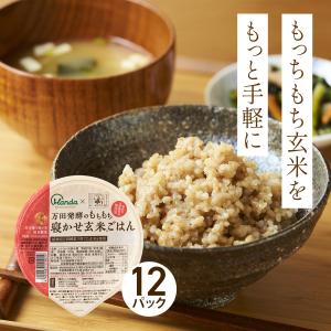 IRIS OHYAMA（アイリスオーヤマ） 餅 1.8kg 一升餅 もち 切り餅 正月