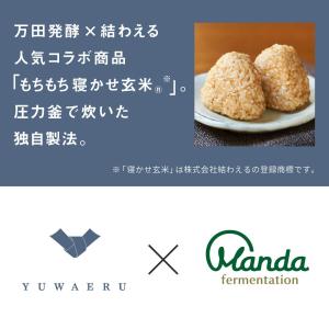 万田 酵素玄米 ごはん 万田発酵のもちもち寝か...の詳細画像2