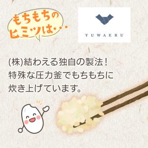 万田 酵素玄米 ごはん 万田発酵のもちもち寝か...の詳細画像5