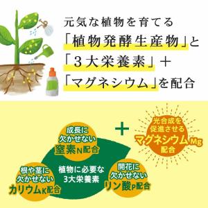 万田酵素 肥料 万田アミノアルファプラス 10...の詳細画像2