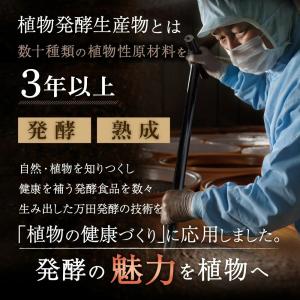 万田酵素 肥料 万田アミノアルファプラス 10...の詳細画像3