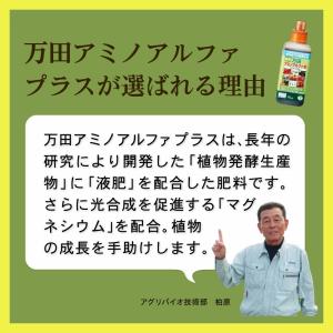 万田酵素 肥料 万田アミノアルファプラス 10...の詳細画像4