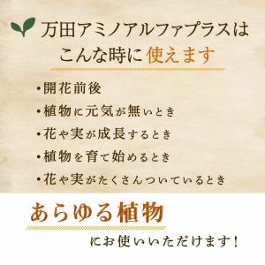 万田酵素 肥料 万田アミノアルファプラス 10...の詳細画像5