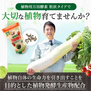 万田酵素 肥料 植物用万田酵素 粒状タイプ 3...の詳細画像1