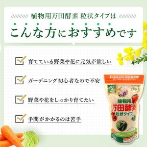 万田酵素 肥料 植物用万田酵素 粒状タイプ 3...の詳細画像2