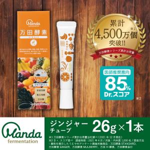 ブドウ糖 チューブの商品一覧 通販 Yahoo ショッピング