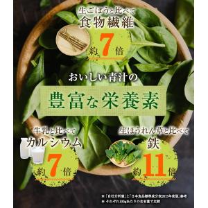 青汁 おいしい青汁 約1ヵ月分 万田酵素 桑の...の詳細画像3