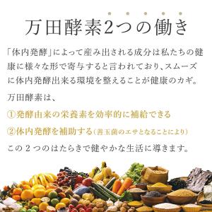万田酵素 ジンジャー ペーストタイプ 分包 約...の詳細画像3