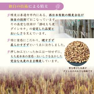 讃岐もち麦 ダイシモチ おためしセット (もち...の詳細画像4