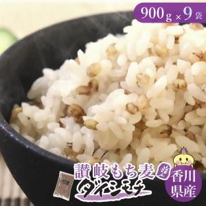 讃岐もち麦 ダイシモチ (900g×9袋) 国産 香川県 善通寺市産 産地品種銘柄 紫もち麦