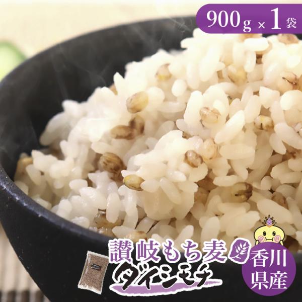 香川県産 讃岐もち麦 ダイシモチ (900g) 機能性表示食品 産地品種銘柄 善通寺市