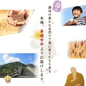 讃岐もち麦 ダイシモチ (900g) 国産 香...の詳細画像2
