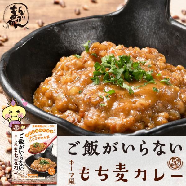 【送料無料】５食　ご飯がいらない キーマ風もち麦カレー　甘口(200g)5袋セット