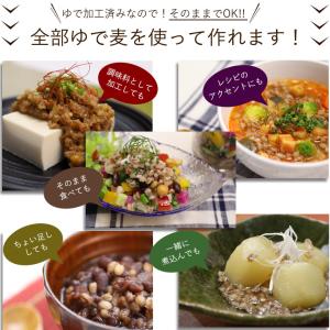 讃岐もち麦 ダイシモチ ゆで麦 (100g×5...の詳細画像3