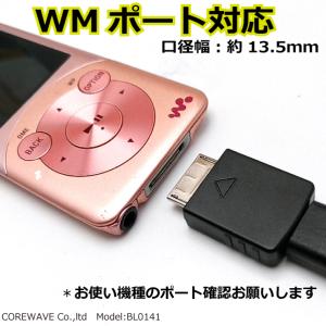 WALKMAN互換品 充電 転送対応 変換アダ...の詳細画像2