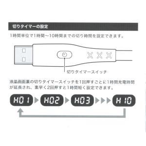 タイプC Type-C 充電ケーブル 切りタイ...の詳細画像2