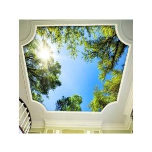 天井 壁紙 空の商品一覧 通販 Yahoo ショッピング