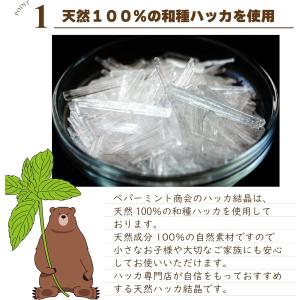 ペパーミント商会 天然ハッカ結晶 100gの詳細画像1