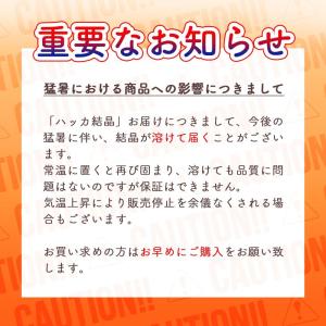 ペパーミント商会 天然ハッカ結晶 100gの詳細画像5