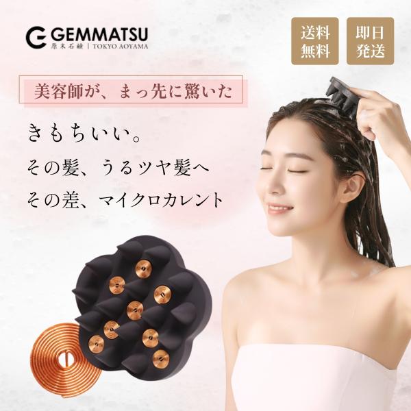 ジーゼロコイル G-ZERO COIL マイクロカレント プロ シャンプーブラシ ヘアブラシ 頭皮マ...