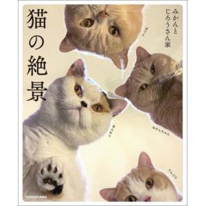 猫の絶景 / みかんとじろうさん家｜mangaplus-ogaki