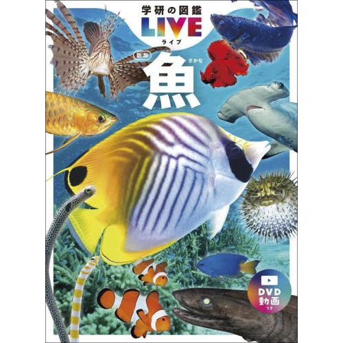 学研の図鑑ＬＩＶＥ　４　魚　新版