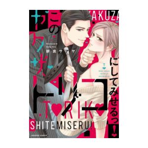 疾風伝説特攻の拓 全27巻 完結セット(講談社) レンタル・漫画喫茶落ち