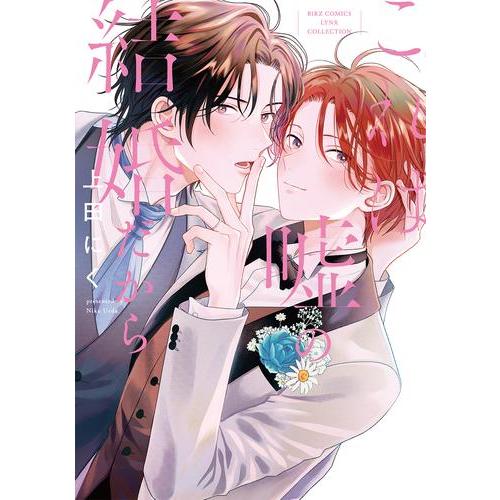 新品 / これは嘘の結婚だから (1巻 全巻)