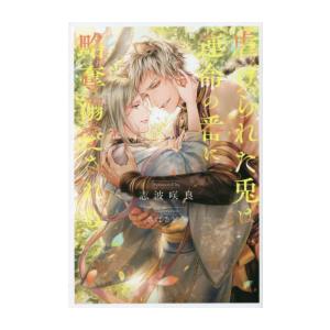 新品 / ライトノベル / 虐げられた兎は運命の番に略奪溺愛される (全1冊)