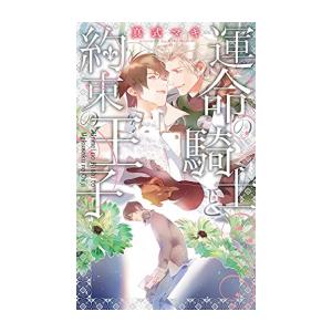 新品 / ライトノベル / 運命の騎士と約束の王子 (全1冊)