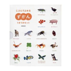 新品 / ライトノベル 銀魂 3年Z組銀八先生 シリーズ (全10冊) 全巻