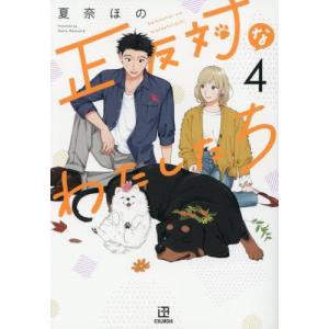 集英社 新品 / 家庭教師ヒットマンREBORN-リボーン-![文庫版](1