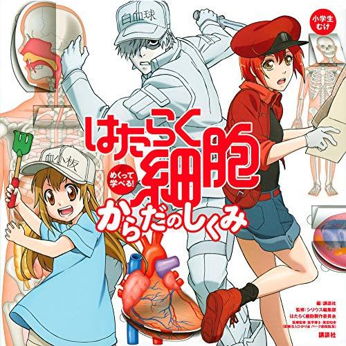 新品 / めくって学べる! はたらく細胞 からだのしくみ