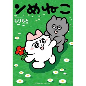 新品 / 復刻版 疾風伝説 特攻の拓 (1-27巻 全巻) 全巻セット : 漫画