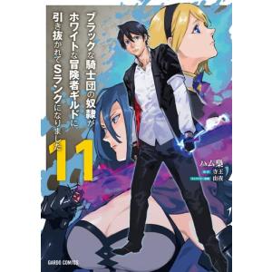 新品 / 文豪ストレイドッグス (1-28巻 最新刊) 全巻セット : 漫画全巻