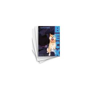 講談社（kodansha） 新品 / ベック BECK 新装版 (1-17巻 全巻) 全巻