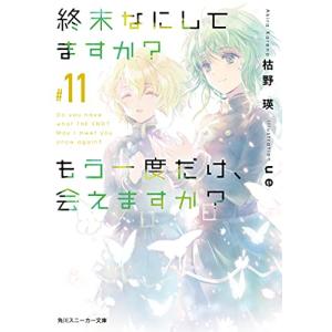 新品 / ライトノベル ソードアート・オンライン (全28冊) 全巻セット