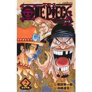 新品 / ライトノベル ワンピース ONE PIECE novel HEROINES (全2冊